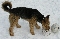 050302 128 Anton-60