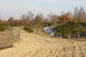 Abzweigung