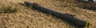 einsame Eisenbahnschwelle