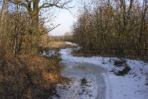 schlechte Wegsgtrecke