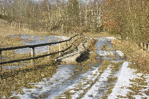Bohlenweg durch das MNoor