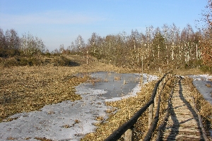 Weg durch das Moor