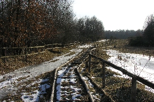 Bohlenweg durch das Moor