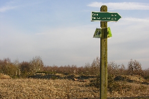 Wegweiser