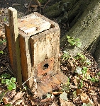 Abgest�rzt in Sanssouci