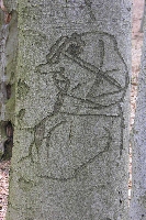 Sowjetischer Panzerfahrer am Baum