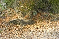 060420-045Spaene-8