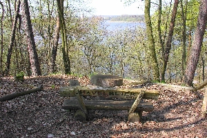 Havelblick