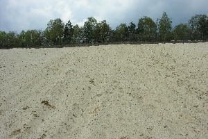 Mrkischer Sand in der Kiesgrube