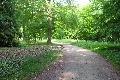 Hier stand einmal ein Buche am Weg zum Chinesischen Haus, gef&auml;llt im Sommer 2006