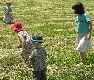spielende Kinder im Heu