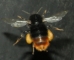 060708-059H