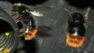 060708-067H
