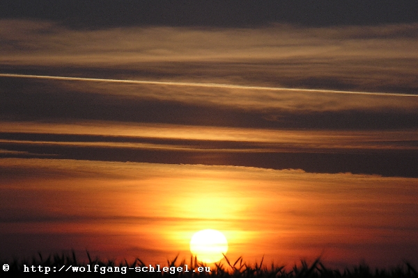 Sonnenuntergang in der D&ouml;beritzer Heide (Sielmannstiftung)