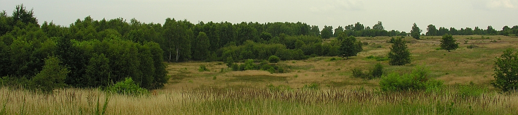 Die D&ouml;beritzer Heide